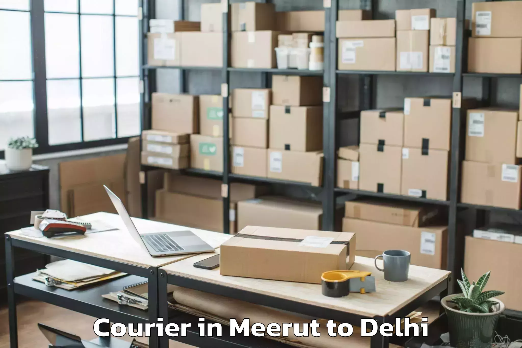 Expert Meerut to Rohini Courier